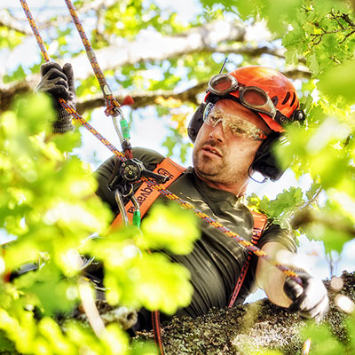 Säker trädfällning och beskärningTradnu AB i och runt Göteborg med omnejd