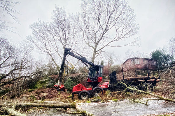 Upprensning av tomtmark med skördare Tradnu AB i och runt Göteborg med omnejd